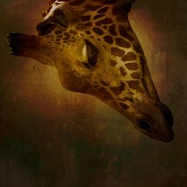Giraffe by Jantien van Dam