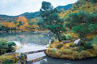 Tenryu-ji-Gärten bei Kyoto