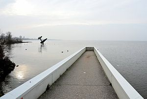 Ein Weg ins Wasser