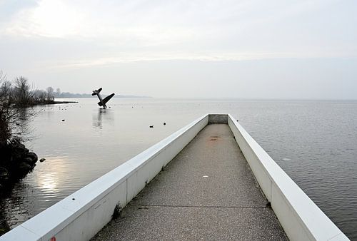 Ein Weg ins Wasser von Gerard de Zwaan