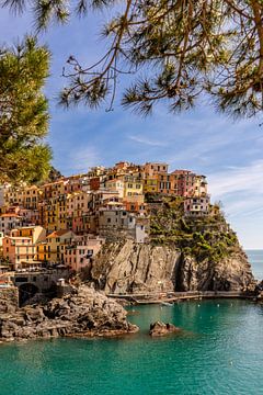 Cinqueterre Ligurië, Italië van Stefania van Lieshout