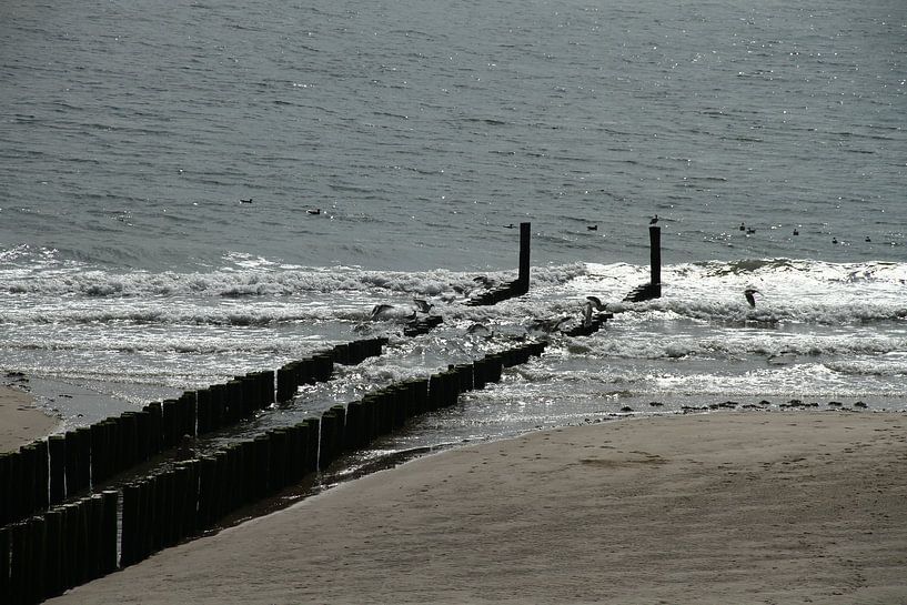 Golfbrekers aan de kust von Abra van Vossen
