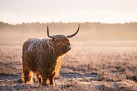 Zonsopkomst
