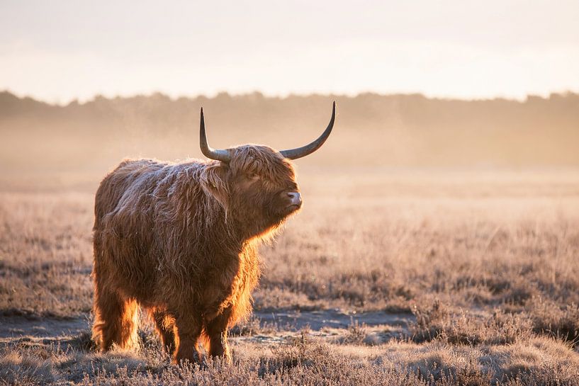 Zonsopkomst van Patrick Verheij