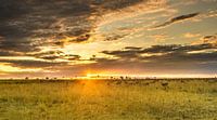 Lever de soleil unique en Afrique