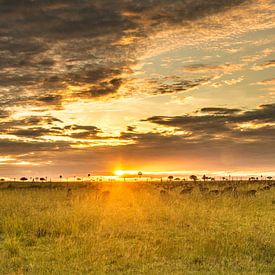 African Unique Sunrise van linda ter Braak