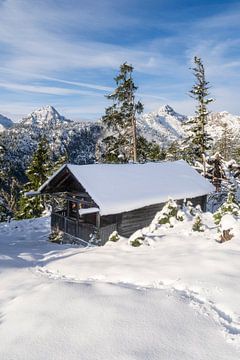 Eenzame berghut in de winter in de sneeuw bij zonsopgang bij de Plansee in Tirol van Daniel Pahmeier
