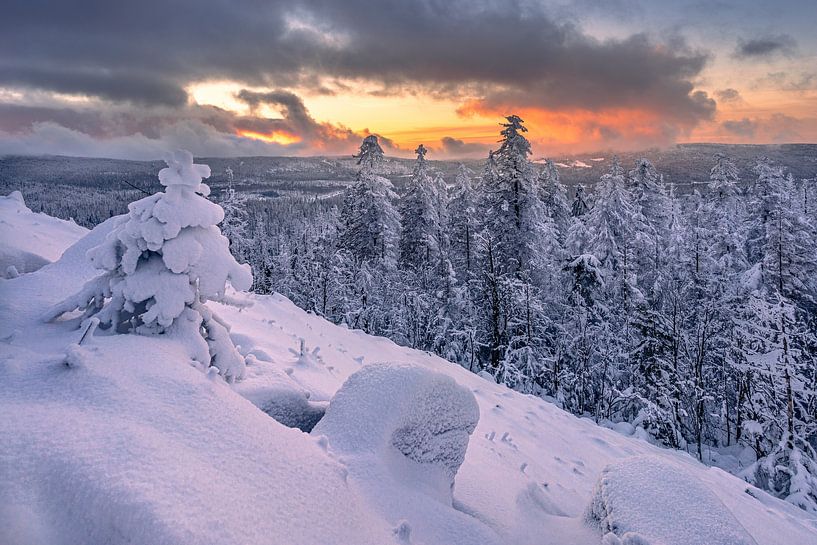 Short trip to the Achtermannshöhe by Steffen Henze