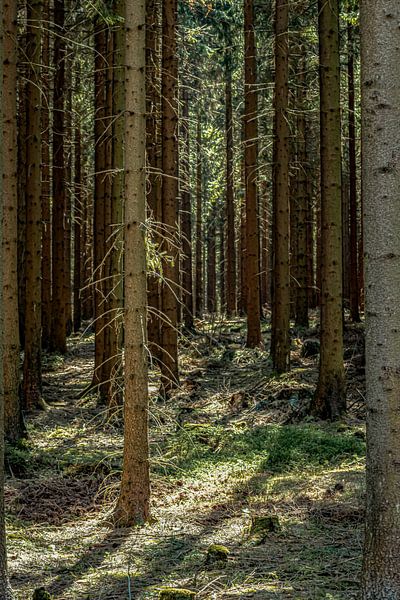 Landscape in the Erzgebirge by Johnny Flash