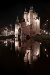 Amsterdamse poort te Haarlem van Dennis Donders