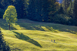 À la découverte de la beauté sereine de l'Allgäu