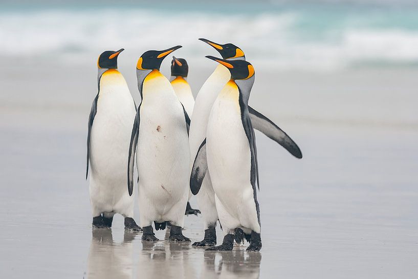 Am Strand von Joan Gil Raga