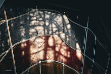 Fragiel licht van Dyan Gemser