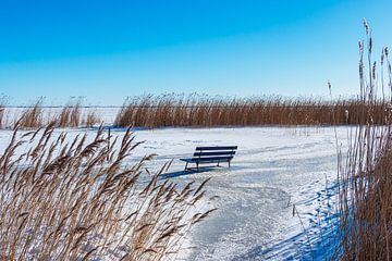 Sitzbank am Bodden bei Ahrenshoop auf dem Fischland-Darß im Win