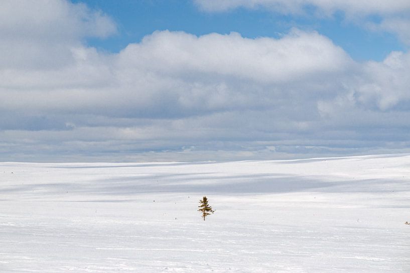 Winter landscape on the Fulufjäletts plateau by Leo Schindzielorz