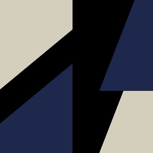 Blauw Zwart Wit Abstracte Vormen nr. 6