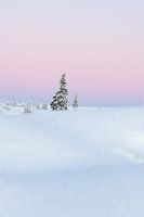 Bunter Winter