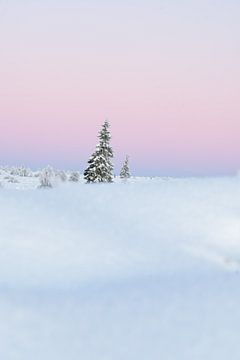 Kleurrijke winter van Mijke Braam