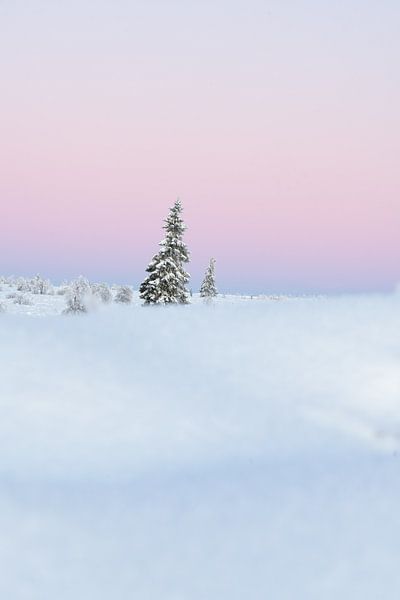 Bunter Winter von Mijke Braam