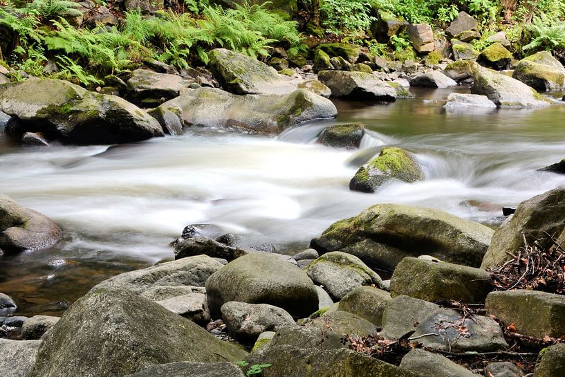 The river Bode near Thale in the Harz Mountains by Heiko Kueverling