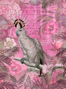 Cockatoo Nostalgia In Pink by Andrea Haase