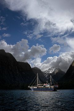 Boat in the fjords of Milford Sound by Albert Brunsting