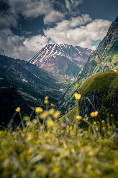 Mutter Natur von Hello Pompoyo