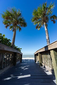 Verenigde Staten, Florida, Twee palmbomen achter landingsbaan naar perfect wit zand van adventure-photos