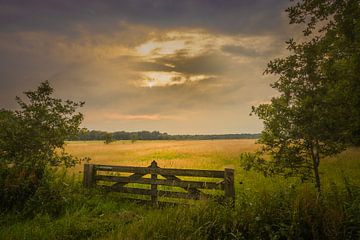 Zaun im Dwingelderveld von Freddy Hoevers