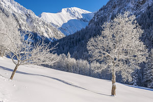 Winter im Dietersbachtal