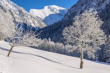 Winter in the Dietersbach Valley by Walter G. Allgöwer