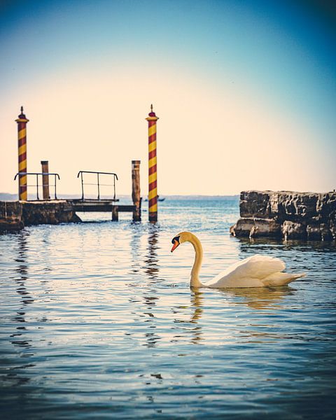 Punta San Vigilio - Italien von David Krause