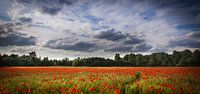Rotes Meer