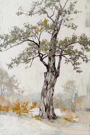 An old tree bathed in soft ochre light by Art & Soul Creations