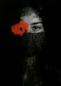 Mohnblume