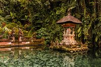 Balinesischer Wassertempel, Teil im klaren blauen Wasser des Teichs