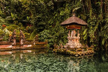 Balinese watertempel, gedeelte in het helderblauwe water van de vijver van Melissa Peltenburg