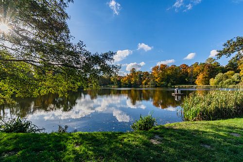 Swan pond in Putbus castle park