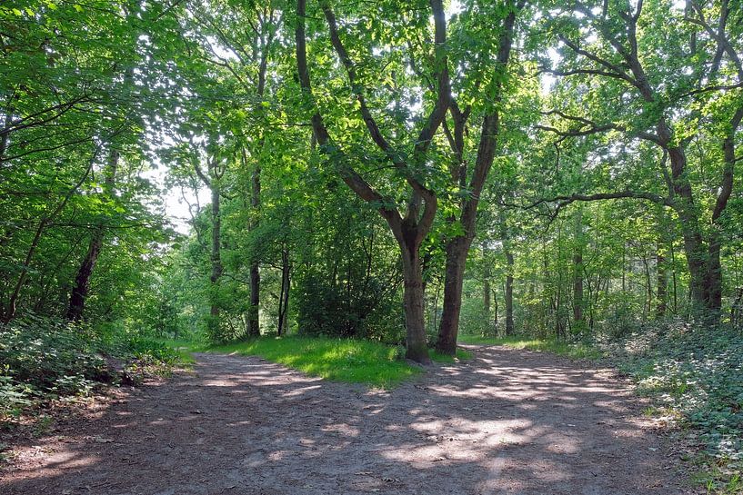 Wandern in Den Helder von Ronald Smits