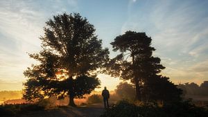 Walking into the sunrise van Lex Schulte