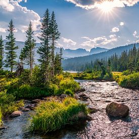 Colorado Wilderness Foto, Landschaftsbild von Daniel Forster