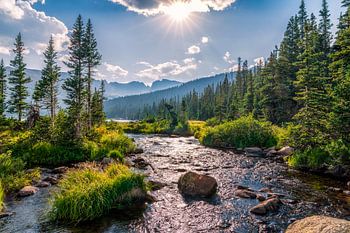 Colorado Wilderness Photo, image de paysage