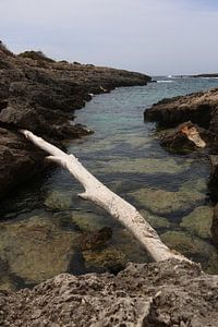 Lignes dans le paysage
