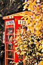 English phone box by Melissa Peltenburg thumbnail