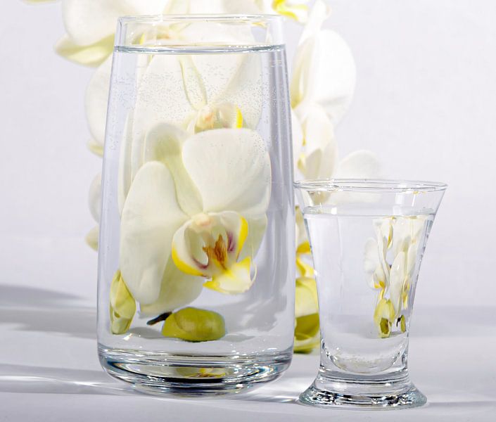 Une orchidée blanche dans un verre d'eau par Nancy Bogaert