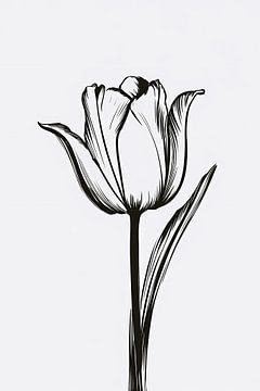 Lignes noires, tulipe blanche, design minimaliste sur De Muurdecoratie