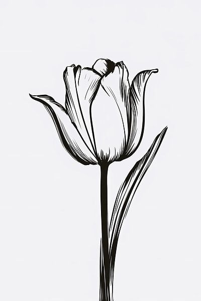 Black lines, white tulip, minimalist design by Art & Soul Creations