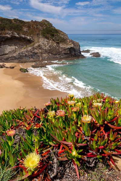 Praia de Odeceixe von Dirk Rüter