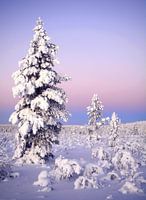 Wintermärchen