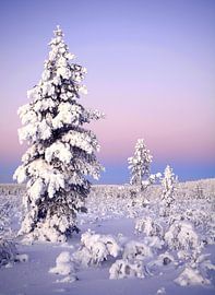 Wintermärchen by Wiltrud Schwantz